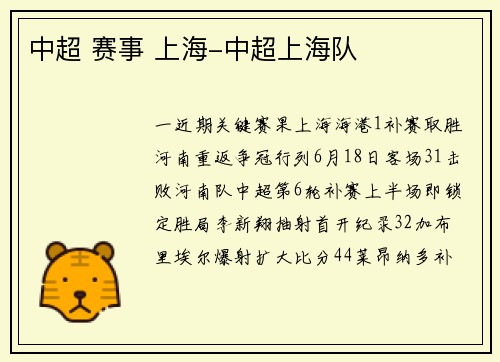 中超 赛事 上海-中超上海队